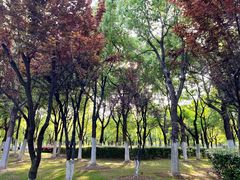 -天鹅湖体育公园