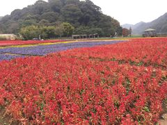 -广州市石门国家森林公园