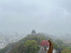 -黄鹤楼公园(黄鹤楼)