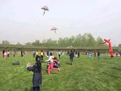 -草根堂农场