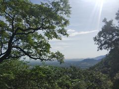 -北京鹫峰国家森林公园