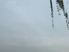 -西湖外事游船(花港观鱼码头)