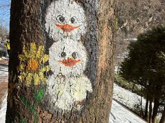 -秦岭终南山世界地质公园翠华山景区