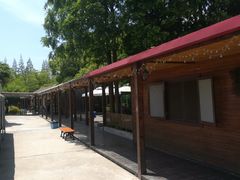 -长兴岛郊野公园农场食堂