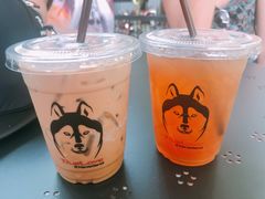 -TrueLove @ Neverland (Husky Cafe)