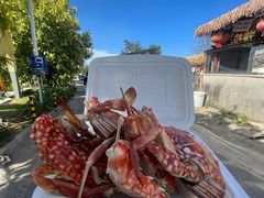 -坛南湾阿强农家乐.海鲜大排档老字号(福州地标美食店)