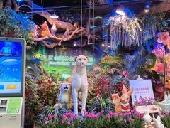 -正佳雨林生态植物园