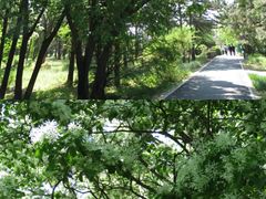 -国家植物园南园