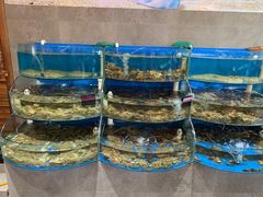 水产区-蓝珊甄选海鲜自助·火锅大排档(近阿那亚店)