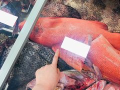-潮信鱼头王(西环店)