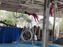 -泉州海丝野生动物世界