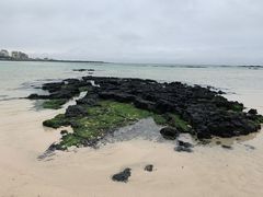 -咸德海水浴场