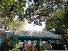-广州长隆飞鸟乐园