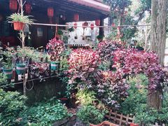 -国生茶庄·地道农家菜团建活动