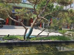 -庐灶江南·江南菜·四合院Bistro(东直门雍和宫·原华侨宾馆店)