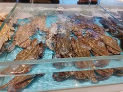 -同庆楼(滨湖万达广场店)