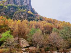 -小五台金河景区