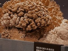 -中国湿地博物馆