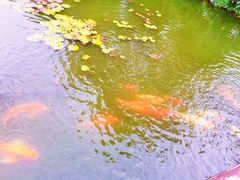 -西湖游船