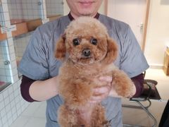 -猫狗日记·自助洗护·宠物寄养·售卖