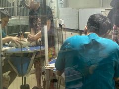 -瑞派旺宝宠物医院·犬猫全科综合·尿道专科(莲兴院)