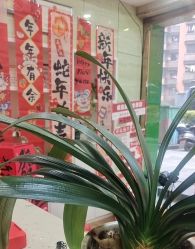 -苗医生专业祛痘·皮肤管理