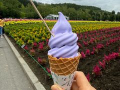 -富田农场