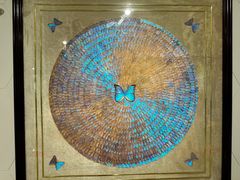 -上海昆虫博物馆