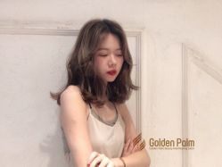 点击看大图 -金棕榈