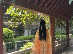 -碧江金楼