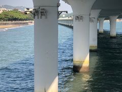 -演武大桥观景平台