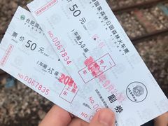 -合肥滨湖国家森林公园