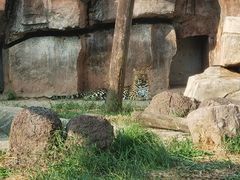 -沈阳森林动物园