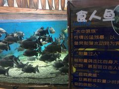 -沙沙哗啦海洋馆(华宇百花谷店)