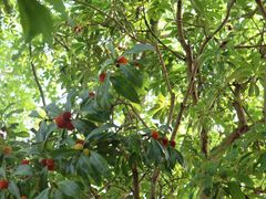 -河姆渡遗址博物馆