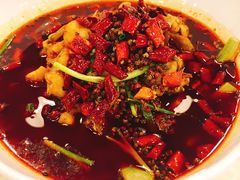 -簋街仔仔小龙虾(簋街二店)