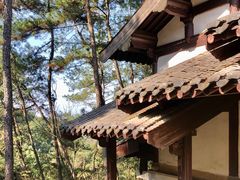 -梦姑塘文化公园