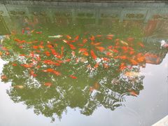 -香山公园