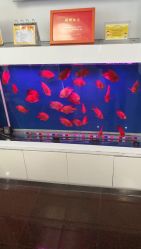 -圣瑞医疗上海圣恩儿科门诊部