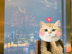 -金轩中餐厅 Jin Xuan(浦东丽思卡尔顿酒店)
