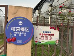 -菊园百果园