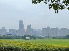 -苏州湾体育公园