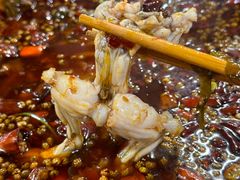 -鸿顺老铁锅美蛙鱼府(解放碑店)