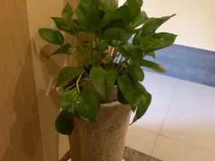 -灸春堂·专业艾灸·连锁品牌(丰潭路店)