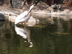 -昆明动物园