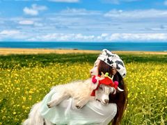 -青海湖国家重点风景名胜区