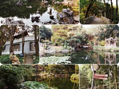 -叶家花园