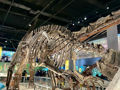 -国家自然博物馆