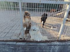 -清风小镇闯关东影视基地