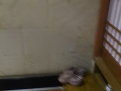 -黑松白鹿(金融街店)